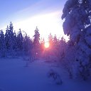  ,  -  4  2015    