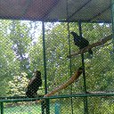 ���� ��������, ������, 38 ��� - ��������� 17 ������ 2015