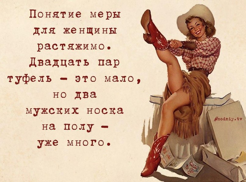 .. - 8  2015  19:22