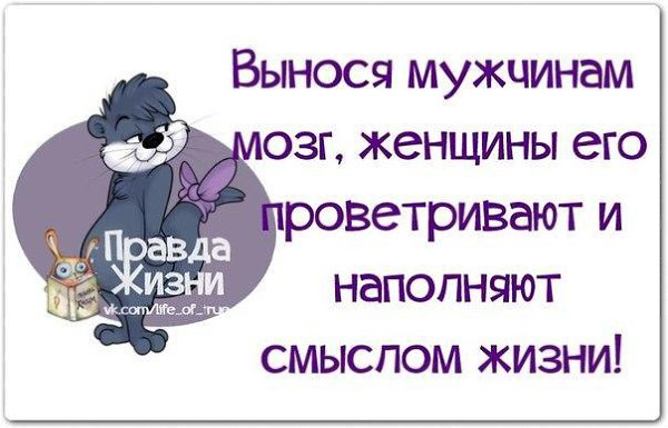 ������ ����� / ���� ! - 19 ������� 2015 � 20:51