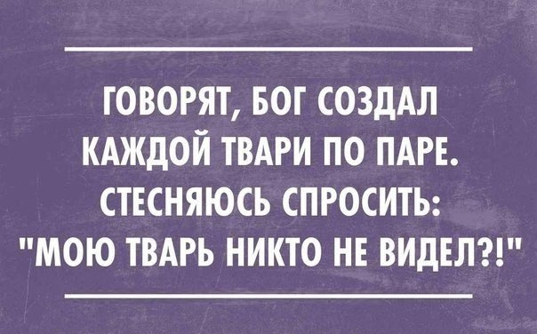 �������� - 4 ������ 2015 � 01:25