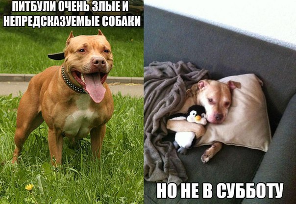    ! - 19  2015  13:40