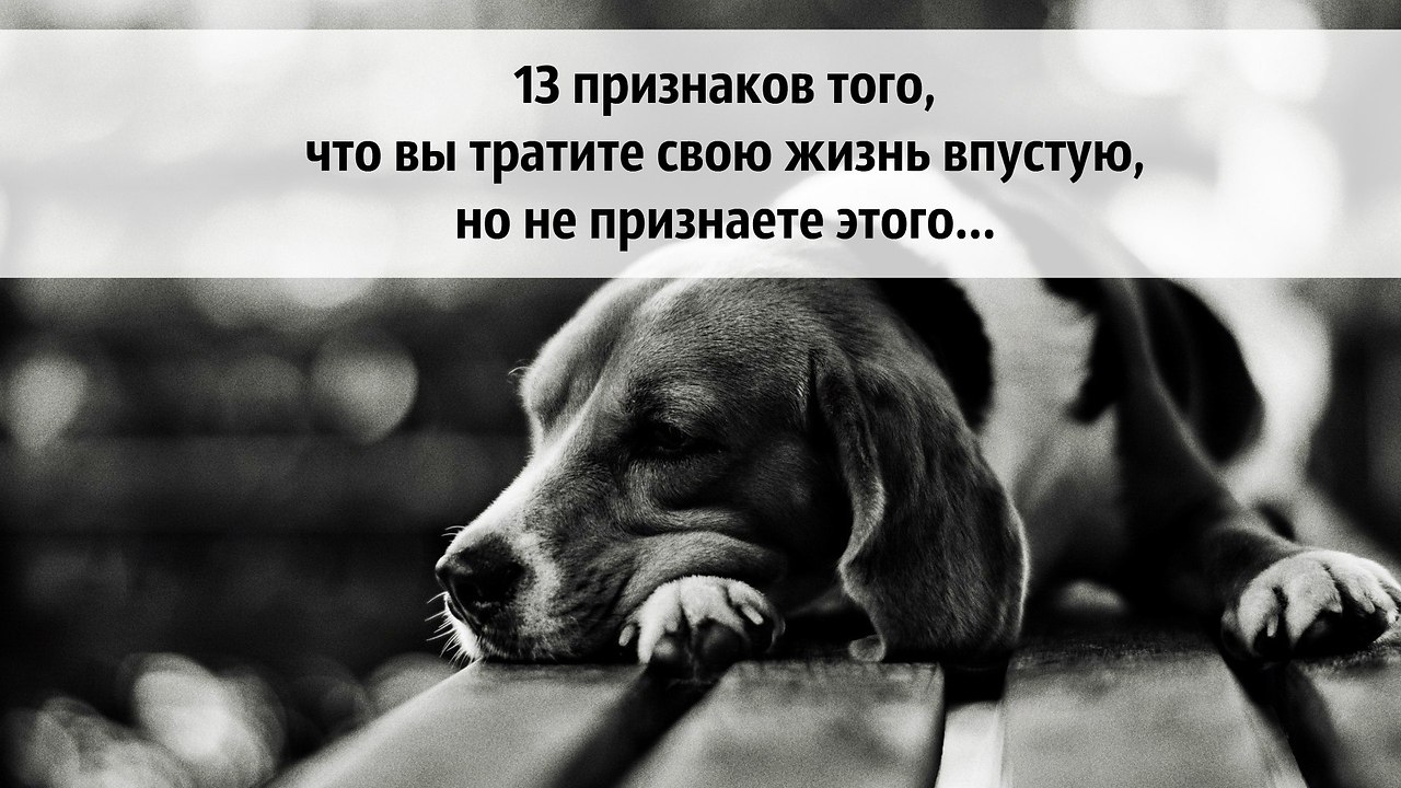 Когда вы были ребенком, вы хотели вырасти и стать космонавтом, певцом или инженером? Если да, то как ...