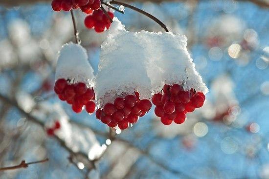 |В| Счастье есть... |В| - 30 декабря 2014 в 15:16 - 5