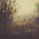 ���� ���������, ��������, 34 ���� - ��������� 8 ������ 2015 � ������ ����� 2�