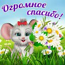 ���� ������, ������������, 51 ��� - ��������� 25 ����� 2015 � ������ �������� ��������