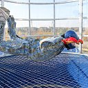 ���� Elliot, ���������, 56 ��� - ��������� 20 ������� 2014 � ������ ���� ����������