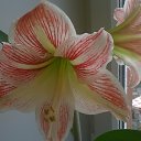 ���� ������, ��������� - ��������� 21 ����� 2015 � ������ ������ ��������