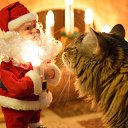 ���� ����������, ������� ��������, 63 ���� - ��������� 21 ������� 2014 � ������ ������� �������