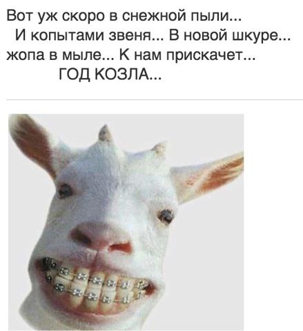 ))) - 23  2014  10:02