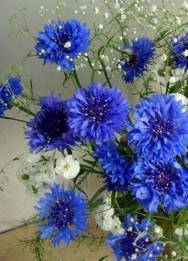 ,   !).   https://fotostrana.ru/away?to=/sl/KE2 - 3