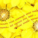 ���� ����, ������ ��������, 64 ���� - ��������� 12 ����� 2015 � ������ �������� ��������