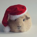 ���� ������, �������, 41 ��� - ��������� 4 ������ 2015