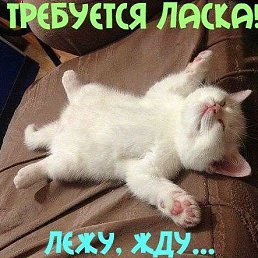 ���� ������, ��������, 46 ��� - ��������� 7 ����� 2015