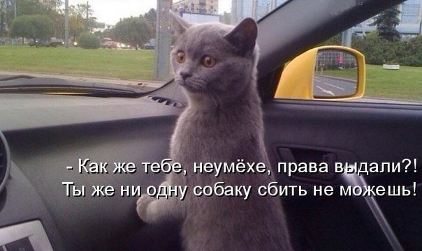       - 12  2015  08:04