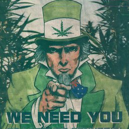 ���� ���������, ��������, 35 ��� - ��������� 12 ����� 2015