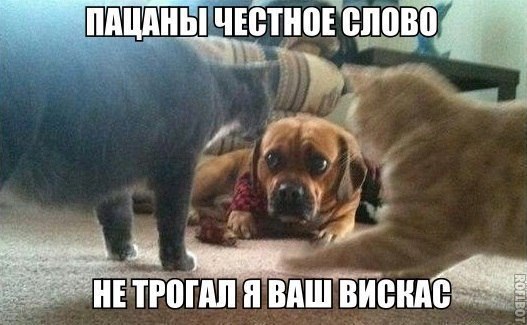    :D - 7  2015  04:42