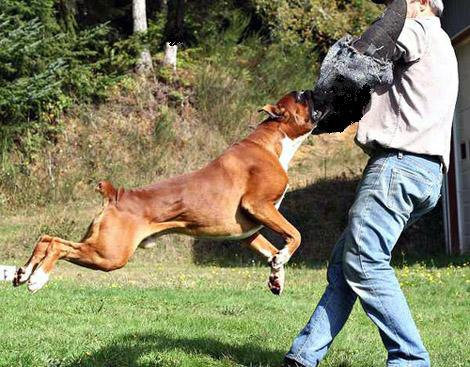 Подпишитесь, если понравилось!!! fotostrana.ru/public/237440/?