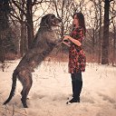   (Paolo Genua),  -  22  2015    