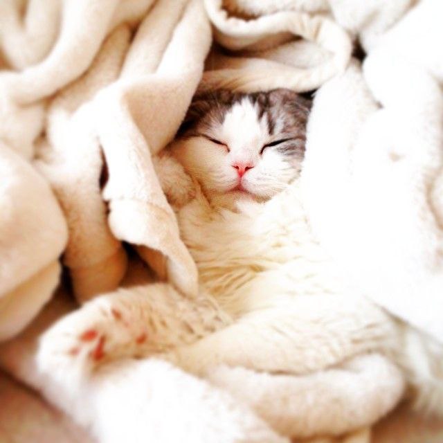 ,    -  ,   ,       :3