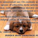 ���� �����, ����������, 48 ��� - ��������� 9 ������� 2015 � ������ ������ ��������