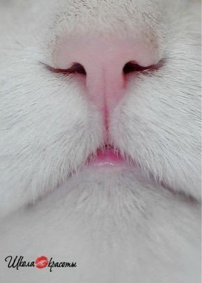 )))))) - 3