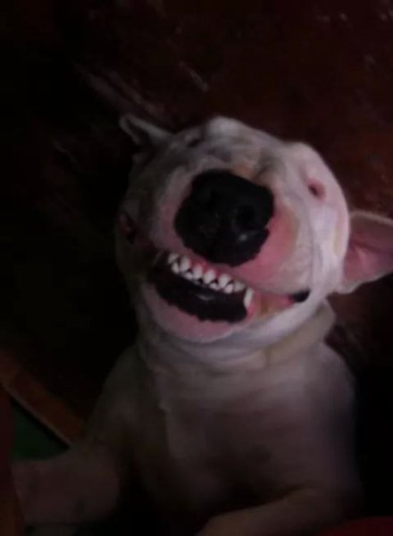 Вечерний булетреп! Пятница 13.... Мне если честно в эти дни оборот все гладко... А как у вас!?