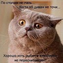 ���� Kolya, ����, 52 ���� - ��������� 31 ����� 2015 � ������ ���������