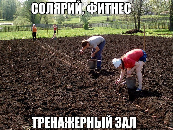   | , ,  - 29  2015  23:55