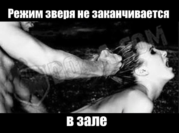   - 13  2015  12:08