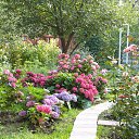 ���� �������, ������, 51 ��� - ��������� 22 ������� 2015 � ������ ���� ������