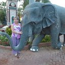 ���� ������, ����, 58 ��� - ��������� 10 ������ 2015 � ������ ���� ����������