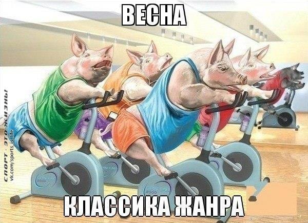    ! - 6  2015  01:04