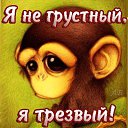 ���� ������, �����-���������, 70 ��� - ��������� 22 ������ 2015 � ������ ������ ��������