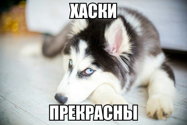   - 29  2015  13:37