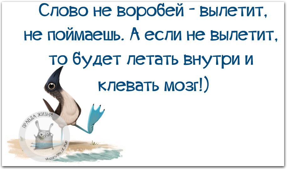 Слово не воробей вылетит не поймаешь. Клевать мозг. Слово не Воробей вылетит не поймаешь цитаты.