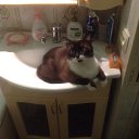 ���� D, ������, 46 ��� - ��������� 7 ������ 2015 � ������ ���� ����������