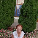 ���� �������, ����� - ��������� 4 ������ 2015 � ������ ���� ����������