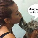 ���� �����, ������� - ��������� 11 ������ 2015 � ������ ������ ��������