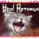 ���� �����, ������ - ��������� 12 ������� 2015 � ������ �������� ��������
