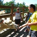 ���� ������, ���������, 40 ��� - ��������� 17 ������� 2014 � ������ ���� ����������