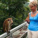 ���� ����, ����������� - ��������� 13 ������ 2015 � ������ ���� �����