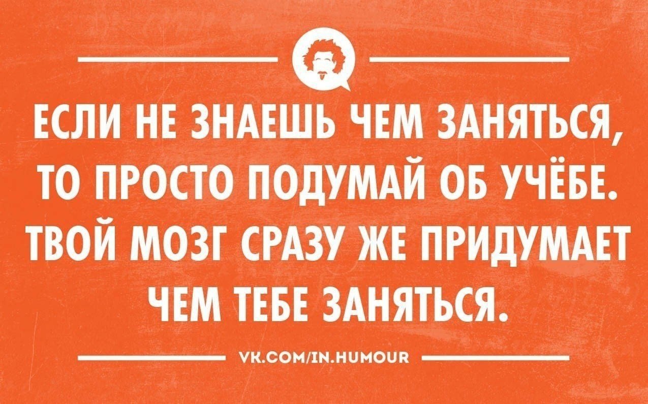 Прекрасные шутка. Прекрасно просто прекрасно анекдот. Анекдот про прекрасно. Анекдот про умных и красивых. Анекдот про Вовочку прекрасно просто прекрасно.