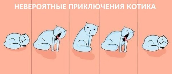       - 24  2015  22:03