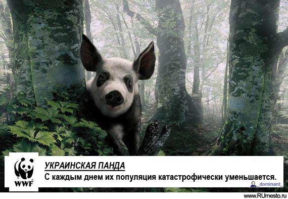 ���� - 30 ������ 2015 � 20:19