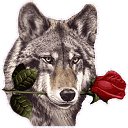 ���� � B, ������, 64 ���� - ��������� 12 ������ 2015 � ������ ��������� ����