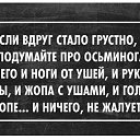  ,  -  30  2015    
