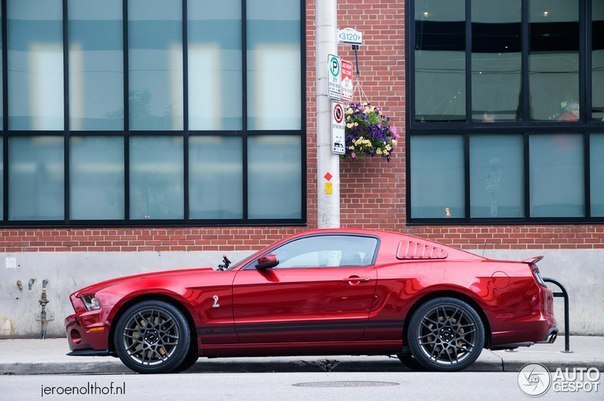 Ford Mustang Shelby GT500 - 4