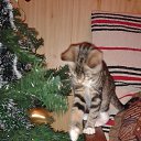 ���� ������, �����-���������, 70 ��� - ��������� 7 ������ 2015 � ������ ��������