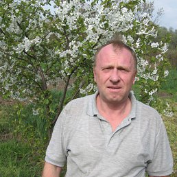 �������, �������, 65 ���